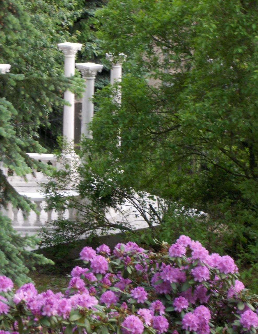 Romantic Chateau Krásná Lípa Extérieur photo