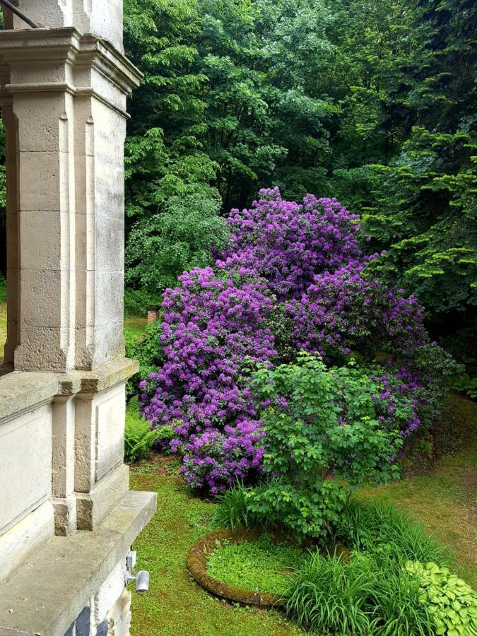 Romantic Chateau Krásná Lípa Extérieur photo